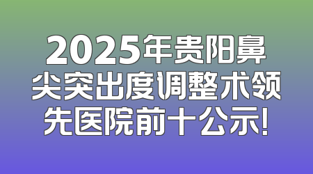 2025年贵阳鼻尖突出度调整术领先医院前十公示！