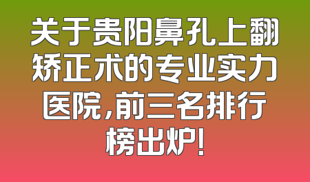 关于贵阳鼻孔上翻矫正术的专业实力医院，前三名排行榜出炉！