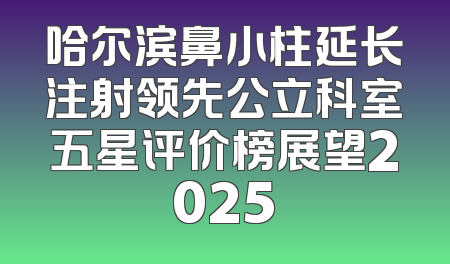 哈尔滨鼻小柱延长注射领先公立科室五星评价榜展望2025