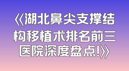 《湖北鼻尖支撑结构移植术排名前三医院深度盘点!》