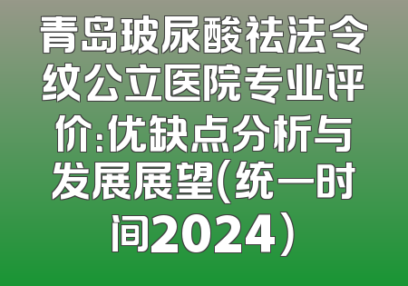 青岛玻尿酸祛法令纹公立医院专业评价：优缺点分析与发展展望（统一时间2024）