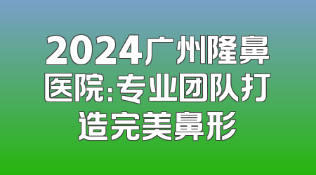 2024广州隆鼻医院：专业团队打造完美鼻形