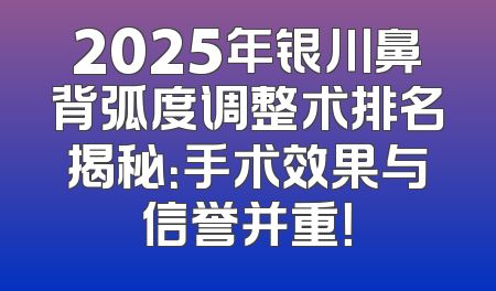 2025年银川鼻背弧度调整术排名揭秘：手术效果与信誉并重！
