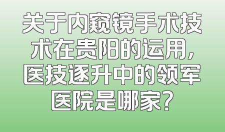 关于内窥镜手术技术在贵阳的运用，医技逐升中的领军医院是哪家？