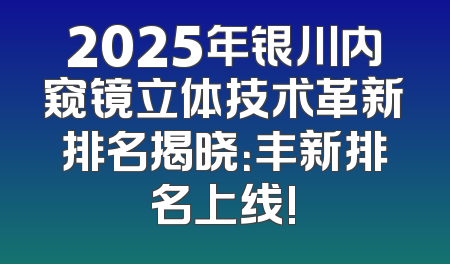 2025年银川内窥镜立体技术革新排名揭晓：丰新排名上线!