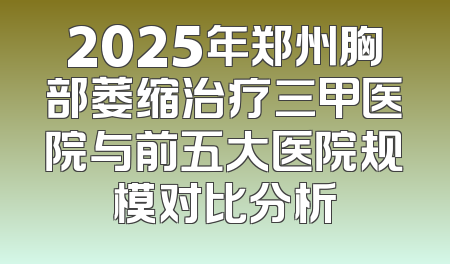 2025年郑州胸部萎缩治疗三甲医院与前五大医院规模对比分析