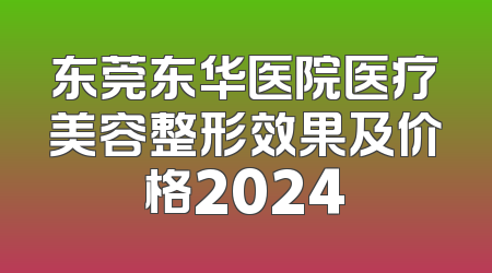 东莞东华医院医疗美容整形效果及价格2024
