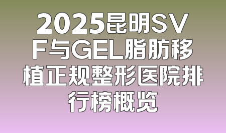 2025昆明SVF与GEL脂肪移植正规整形医院排行榜概览