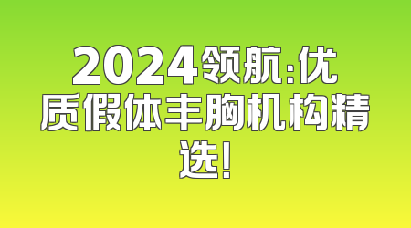 2024领航：优质假体丰胸机构精选！