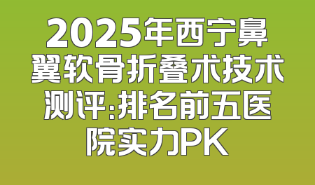 2025年西宁鼻翼软骨折叠术技术测评：排名前五医院实力PK