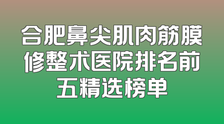 合肥鼻尖肌肉筋膜修整术医院排名前五精选榜单