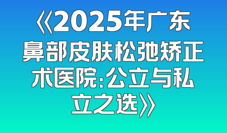 《2025年广东鼻部皮肤松弛矫正术医院：公立与私立之选》
