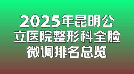 2025年昆明公立医院整形科全脸微调排名总览