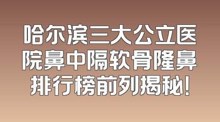 哈尔滨三大公立医院鼻中隔软骨隆鼻排行榜前列揭秘！