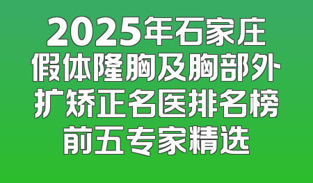 2025年石家庄假体隆胸及胸部外扩矫正名医排名榜前五专家精选