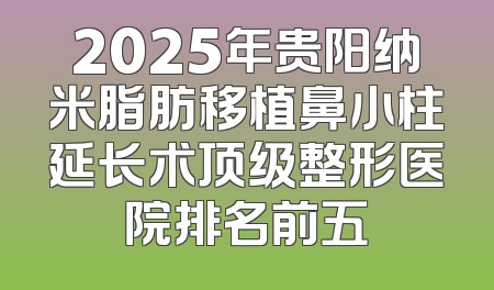 2025年贵阳纳米脂肪移植鼻小柱延长术顶级整形医院排名前五