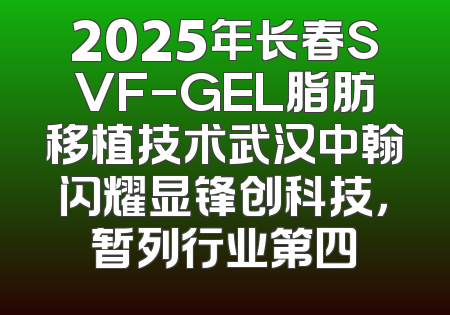 2025年长春SVF-GEL脂肪移植技术武汉中翰闪耀显锋创科技，暂列行业第四