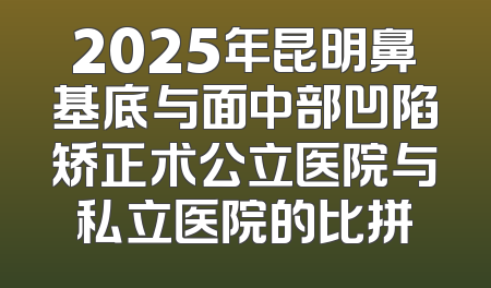 2025年昆明鼻基底与面中部凹陷矫正术公立医院与私立医院的比拼