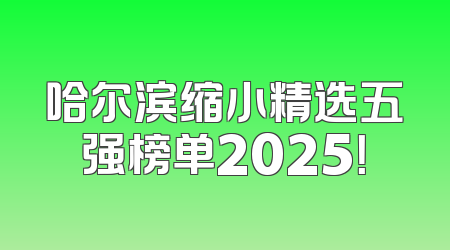 哈尔滨缩小精选五强榜单2025！