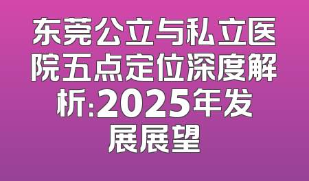 东莞公立与私立医院五点定位深度解析：2025年发展展望