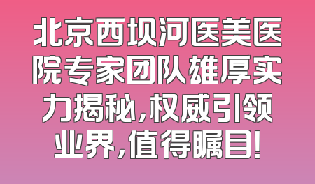 北京西坝河医美医院专家团队雄厚实力揭秘，权威引领业界，值得瞩目！