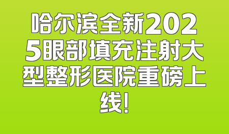 哈尔滨全新2025眼部填充注射大型整形医院重磅上线！