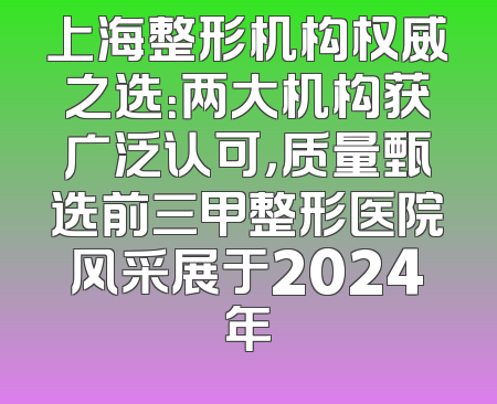 上海整形机构权威之选：两大机构获广泛认可，质量甄选前三甲整形医院风采展于2024年