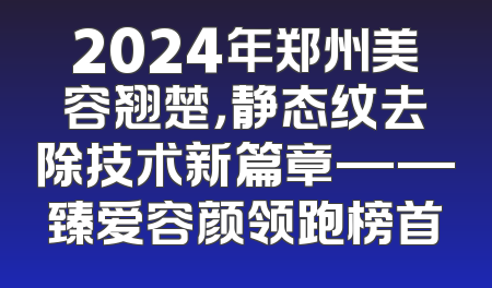 2024年郑州美容翘楚，静态纹去除技术新篇章——臻爱容颜领跑榜首