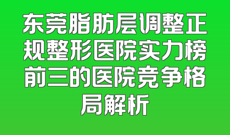 东莞脂肪层调整正规整形医院实力榜前三的医院竞争格局解析