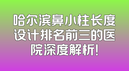 哈尔滨鼻小柱长度设计排名前三的医院深度解析！