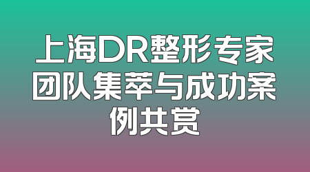 上海DR整形专家团队集萃与成功案例共赏