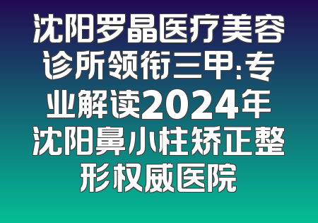 沈阳罗晶医疗美容诊所领衔三甲：专业解读2024年沈阳鼻小柱矫正整形权威医院