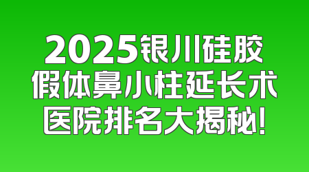 2025银川硅胶假体鼻小柱延长术医院排名大揭秘！