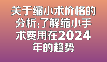 关于缩小术价格的分析：了解缩小手术费用在2024年的趋势