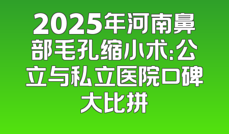 2025年河南鼻部毛孔缩小术：公立与私立医院口碑大比拼