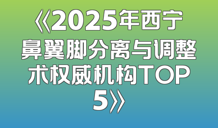《2025年西宁鼻翼脚分离与调整术权威机构TOP5》