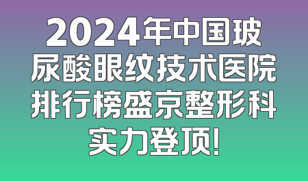 2024年中国玻尿酸眼纹技术医院排行榜盛京整形科实力登顶！