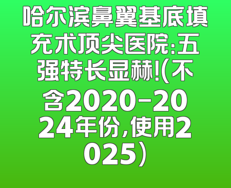 哈尔滨鼻翼基底填充术顶尖医院：五强特长显赫！(不含2020-2024年份，使用2025)