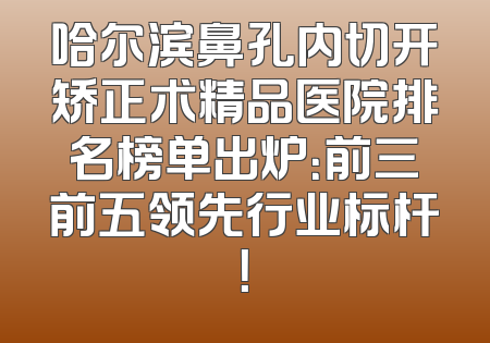 哈尔滨鼻孔内切开矫正术精品医院排名榜单出炉：前三前五领先行业标杆！
