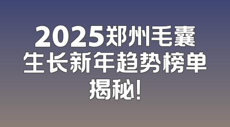 2025郑州毛囊生长新年趋势榜单揭秘！