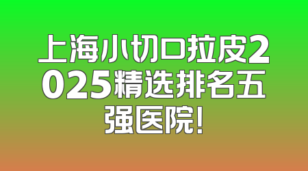 上海小切口拉皮2025精选排名五强医院！