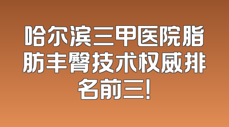 哈尔滨三甲医院脂肪丰臀技术权威排名前三！