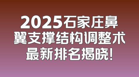 2025石家庄鼻翼支撑结构调整术最新排名揭晓！