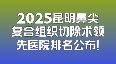 2025昆明鼻尖复合组织切除术领先医院排名公布！