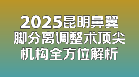 2025昆明鼻翼脚分离调整术顶尖机构全方位解析