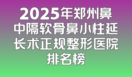 2025年郑州鼻中隔软骨鼻小柱延长术正规整形医院排名榜
