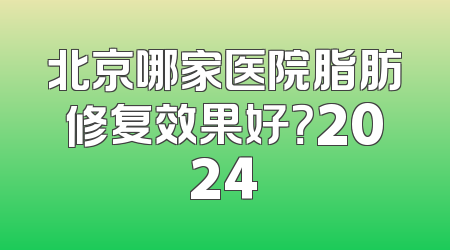 北京哪家医院脂肪修复效果好？2024