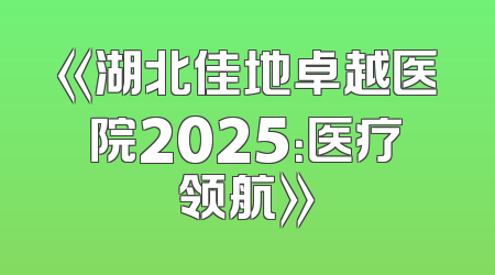 《湖北佳地卓越医院2025：医疗领航》