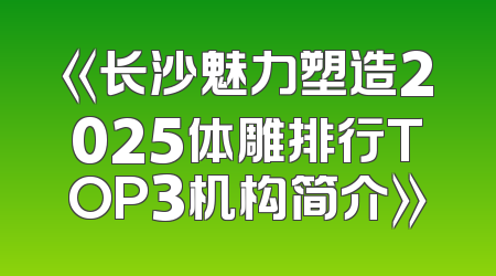 《长沙魅力塑造2025体雕排行TOP3机构简介》