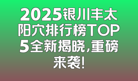 2025银川丰太阳穴排行榜TOP5全新揭晓，重磅来袭！